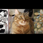 L’IA di trasferimento d’arte gratuita di Google ha trasformato il mio gatto in un dipinto classico