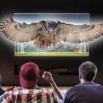 Le migliori offerte TV per un gufo superbo (o Super Bowl)